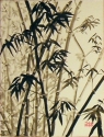 bamboo