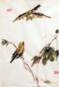chinese-finches-singing