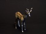 lesser-kudu